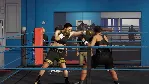 ⭐UNDISPUTED DELUXE WBC EDITION+ВСЕ DLC (STEAM)⭐ - irongamers.ru