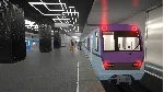 Metro Simulator Oka Liveries Pack DLC (steam key) - irongamers.ru