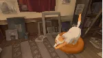 Behind the Frame: The Finest Scenery（Steam Key GLOBAL） - irongamers.ru