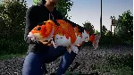 Fishing Sim World: Pro Tour: Talon Fishery Steam key - irongamers.ru