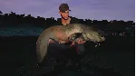 ✅ Euro Fishing: The Moat DLC ⭐Steam\Global\Key⭐ + Бонус