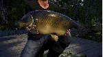Euro Fishing: Waldsee DLC (Steam key / Region Free)