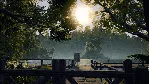 Euro Fishing: Waldsee DLC (Steam key / Region Free)