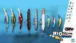 Fishing Sim World: Pro Tour - Big Fish Lure Pack DLC