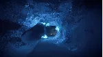 Kona XBOX ONE / XBOX SERIES X|S [ Игровой Ключ Код ] - irongamers.ru