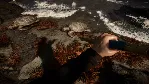 Sons Of The Forest | Steam | Обновления | АВТО 24/7