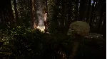 Sons Of The Forest | Steam | Обновления | АВТО 24/7
