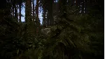 Sons Of The Forest | Steam | Обновления | АВТО 24/7
