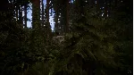 Sons Of The Forest АВТОДОСТАВКА Steam RU/BY/KZ/UA - irongamers.ru