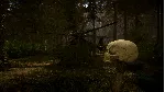 Sons Of The Forest АВТОДОСТАВКА STEAM РОССИЯ - irongamers.ru