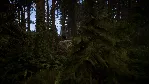 Sons Of The Forest АВТОДОСТАВКА STEAM РОССИЯ - irongamers.ru