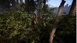 Sons Of The Forest ⭐ STEAM ⭐ - irongamers.ru