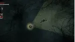 Darkwood (Аккаунт Epic Games) - irongamers.ru