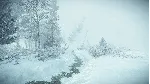 KONA - Xbox One & Xbox Series X|S Ключ 🔑 