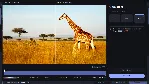 Movavi Video Suite 2023 Steam Edition (Steam Gift RU) - irongamers.ru