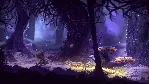 INDIE BUNDLE: SHINESS AND SEASONS AFTER FALL XBOX КЛЮЧ - irongamers.ru