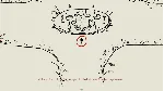 Firework STEAM•RU АВТОДОСТАВКА 0% - irongamers.ru