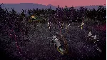 Surviving the Aftermath - Rebirth DLC STEAM GIFT РОССИЯ - irongamers.ru