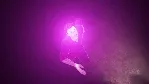 Alterity Experience Xbox One|X|S активация - irongamers.ru