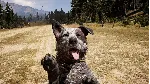 🔥 Far Cry 5 🌎 💳 0%💎 ГАРАНТИЯ+БЫСТРАЯ ДОСТАВКА🔥 