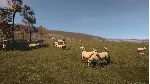Ancient Cities STEAM•RU ⚡ ️АВТОДОСТАВКА 💳 0%