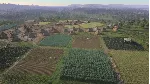Ancient Cities | Steam Gift Россия