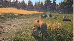 Ancient Cities АВТОДОСТАВКА STEAM GLOBAL МГНОВЕННО ЛИЦЕНЗИЯ