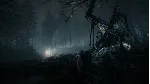 BLAIR WITCH XBOX ONE|XS+PC КЛЮЧ - irongamers.ru