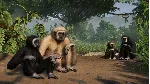 Planet Zoo: Tropical Pack DLC STEAM•RU ⚡ ️АВТО 💳 0%