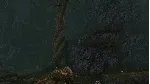Wrath: Aeon of Ruin (Steam ключ / РФ+Весь Мир)