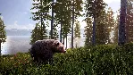 🎮 HUNTING SIMULATOR 2 BEAR HUNTER EDITION XBOX ONE🔑 KEY