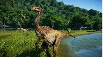 ✅ ❤ ️JURASSIC WORLD EVOLUTION❤ ️XBOX ONE|XS🔑 КЛЮЧ✅ 