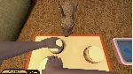 Pets Hotel 💎 АВТОДОСТАВКА STEAM GLOBAL МГНОВЕННО ЛИЦЕНЗИЯ