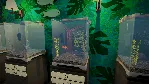 Pets Hotel 💎 АВТОДОСТАВКА STEAM GLOBAL МГНОВЕННО ЛИЦЕНЗИЯ