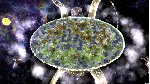 World Turtles 💎 АВТОДОСТАВКА STEAM GLOBAL МГНОВЕННО ЛИЦЕНЗИЯ