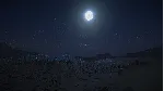 Silica 2023 АВТОДОСТАВКА STEAM GLOBAL МГНОВЕННО ЛИЦЕНЗИЯ