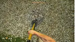 ✅ Treasure Hunter Simulator Xbox One|X|S активация