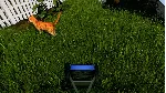 Garden Simulator Xbox One & Xbox Series X|S активация - irongamers.ru