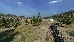 Railway Empire 2 - Deluxe Edition Xbox One & Series X|S