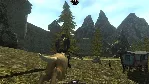 ✅ Ravensword: Shadowlands - Xbox One Edition активация