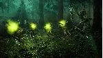 ✅ WARHAMMER: VERMINTIDE 2 - SISTER OF THE THORN🔑 XBOX