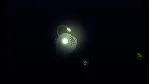 Cat Goes Fishing | АВТОДОСТАВКА [Россия Steam Gift] - irongamers.ru