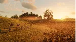 🐴 Red Dead Redemption 2: Ultimate {Steam/UA/KZ/СНГ}