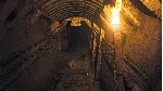 Amnesia: The Bunker XBOX / WINDOWS [ Ключ 🔑 Код ]