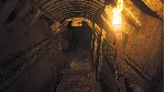 ✅ Amnesia: The Bunker Xbox One|X|S активация