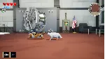 Heist Kitty: Коты идут вразнос АВТОДОСТАВКА STEAM GIFT - irongamers.ru