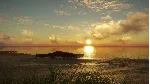 theHunter: Call of the Wild™ - Emerald Coast Australia - irongamers.ru