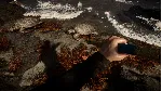 💀 Sons Of The Forest {Steam Gift/Россия/СНГ} + Бонус🎁 
