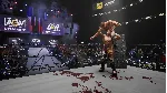 AEW: Fight Forever +ВЫБОР STEAM•RU АВТОДОСТАВКА 0% - irongamers.ru