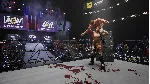AEW: Fight Forever Elite Edition Xbox One & Series X|S - irongamers.ru